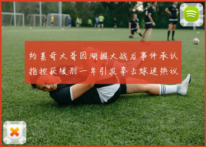 约基奇大哥因湖掘大战后事件承认指控获缓刑一年引发拳击球迷热议